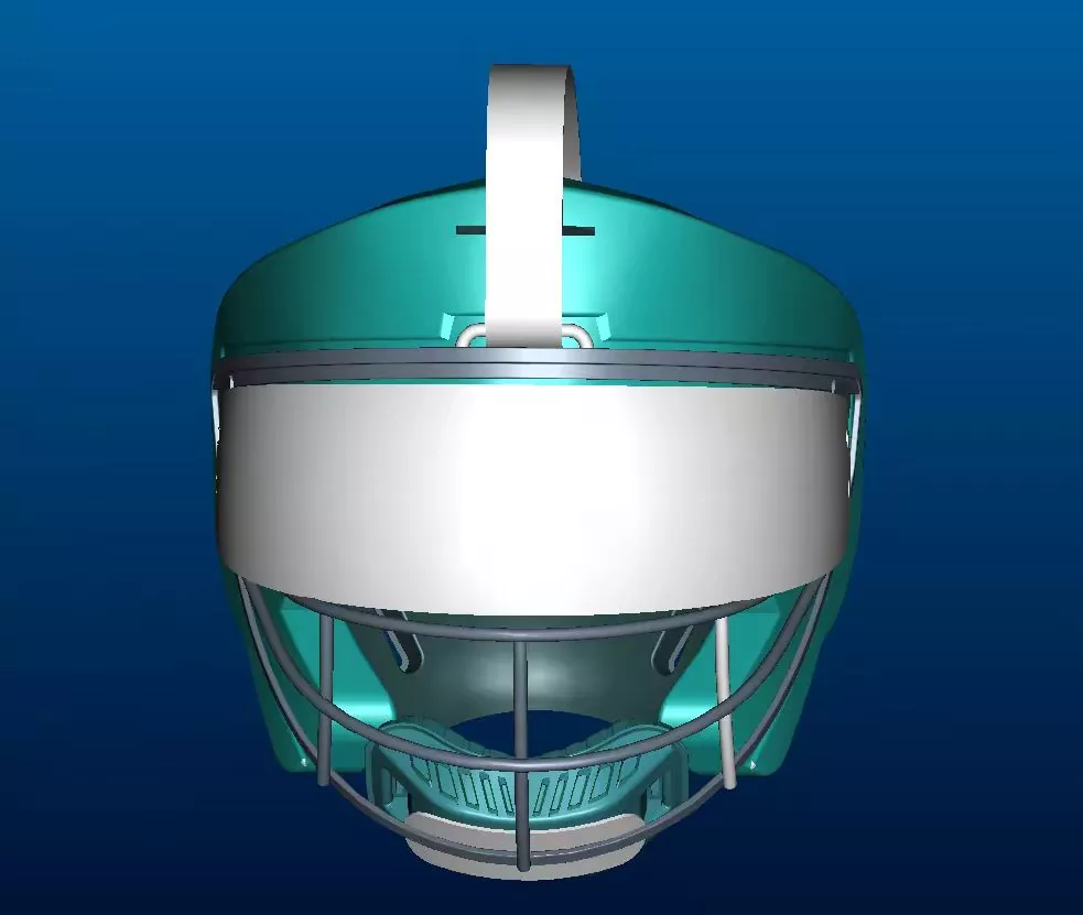 Hockey Face Protection
